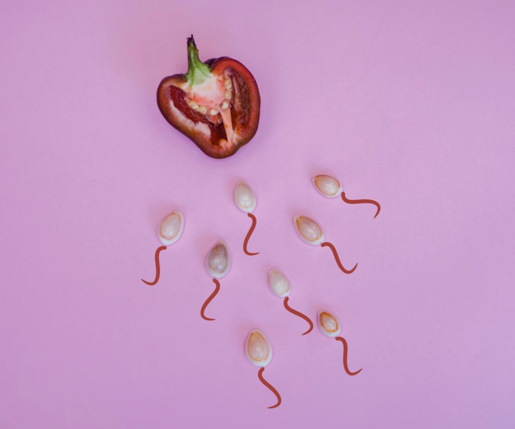 Exploring The Relationship Between Leaky Gut And Fertility Challenges